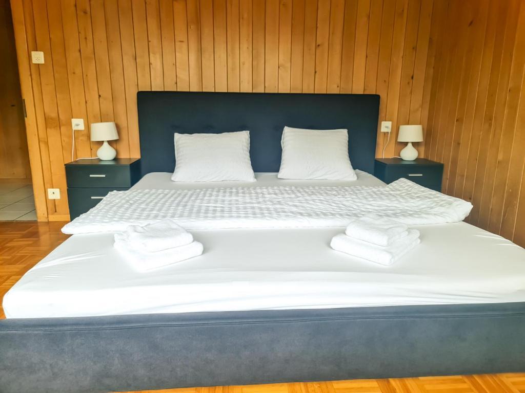 Abendberg Apartment - Aare Jungfrau Ag Wilderswil Eksteriør billede